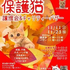 とらちゃん本舗&台東125小さな手　共同開催
保護猫譲渡会』