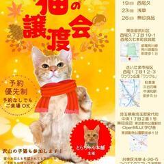 『とらちゃん本舗保護猫譲渡会』さいたま市桜区11/12
