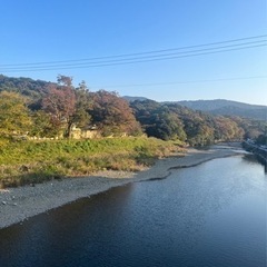 お写ん歩会（紅葉狩り）の画像