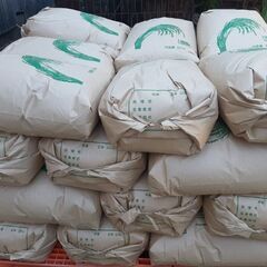 令和５年　新米１等級　減農薬栽培ヒノヒカリ　玄米30キロ③