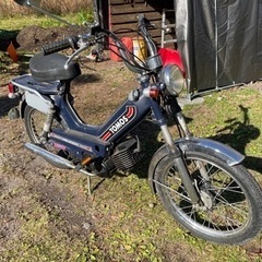 希少　TOMOS classic 50cc
