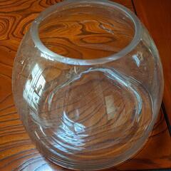 大きなガラス鉢