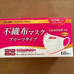 不織布マスク　小さめ60枚入