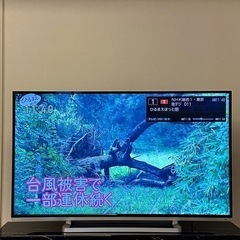 東芝　REGZA レグザ　デジタルハイビジョン液晶テレビ　50インチ