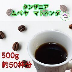 タンザニア ムベヤ マトゥンダ 500g - コーヒー豆のまま