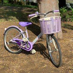 子供用自転車／ブリヂストン／エコパル／20インチ／ラベンダー