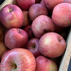 りんご　訳あり　激安　🍎