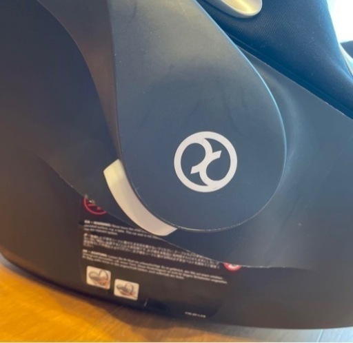 ソテツ、美形ソテツ。クレーンで植え込み費コミコミ価格(埼玉県)他県は