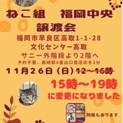 11/26 ねこ組🐾福岡中央譲渡会　文化センター高取