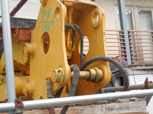 ❕ダトニオ､値下げカーニバル水面で手から完全捕食