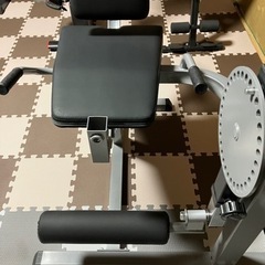 IROTEC（アイロテック）レッグエクス＆カールベンチ/レッグエクステンション レッグカール トレーニング器具 トレーニングマシン 大型マシン