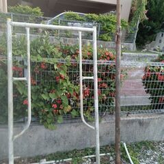 BT足場　他・色々セット