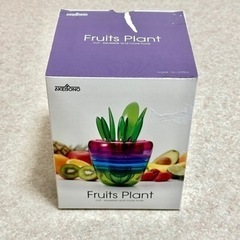 【取引中】フルツプラント Fruits Plant