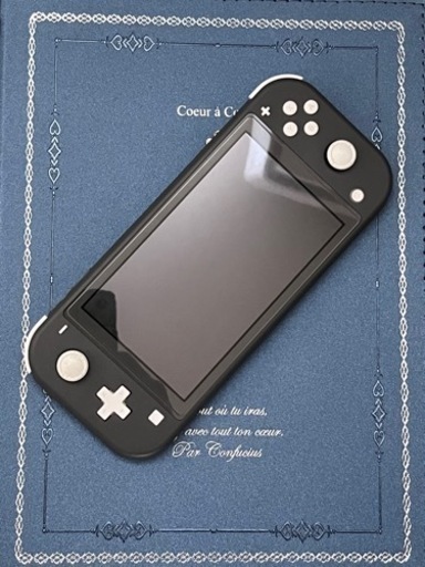 Nintendo switch lite  利用頻度少ない