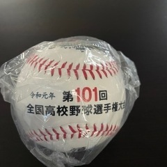 高校野球記念ボール