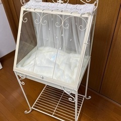 中古　コレクションケース