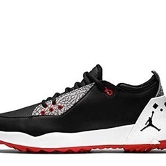 Nike Jordan ADG 2 Golf　25.5cm