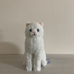 ほっこり猫白ざえもんぬいぐるみ