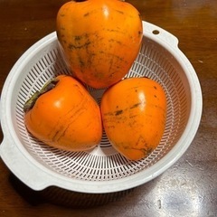 干し柿用(1個100円～)