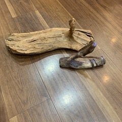 GEX 熱帯魚水槽60センチ セット