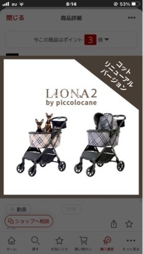 ピッコロカーネLIONA2