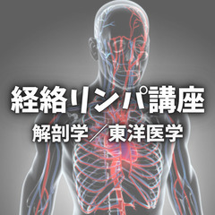 経絡リンパ講座【解剖学／東洋医学】１１月.１２月募集