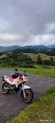 TDR125(3SH)ベルガルダヤマハ 29馬力