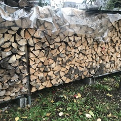 白樺、ニワウルシの薪3立米くらい