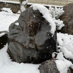 【雪解け後】庭石の削岩できる方！