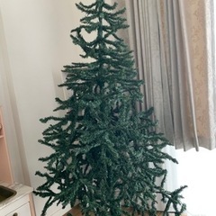 ヌードツリー　クリスマスツリー　ニトリ　180cm 