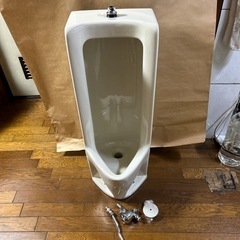 男子　トイレ　便器　TOTO 新品