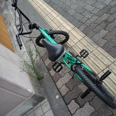 CALIFORNIAN BIKE[カリフォルニアン バイク]20吋 BMX(グリーン)