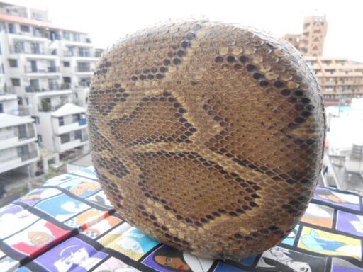 A10現品販売 11.000円 蛇皮強化(二重張)型チーガ(三線胴) 貴方だけの