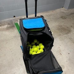 Slinger Bag スリンガーバッグ 近隣配送無料