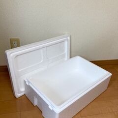 No.52　10個1,000円　発泡スチロール　箱　美品　1個1...