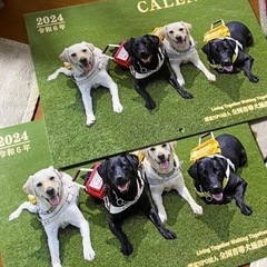 盲導犬カレンダー