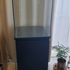 値下げ交渉可 フルセット 水槽 アクアリウム テラリウム 爬虫類 鑑賞