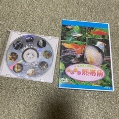 熱帯魚、水族館DVDセット