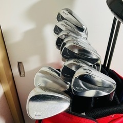 【キャディバッグ付】ゴルフクラブ　メンズ　フルセット　ブリヂストン　ほか