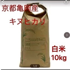 令和5年度　新米　京都亀岡産　キヌヒカリ  白米　10kg   ...