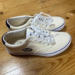 VANS スニーカー　25センチ