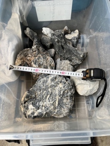 ADA 龍王石　約20kg