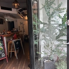 【本日11/12】カフェ英会話