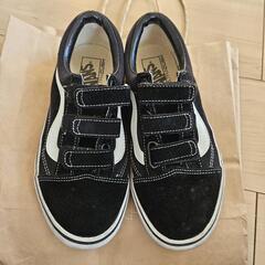 VANS 23.5