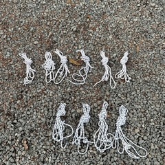 コールマンテントセット