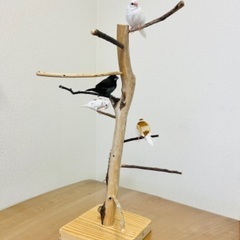 【ネット決済】小鳥の止まり木