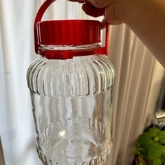 瓶　5L 梅酒やレモンシロップなどに