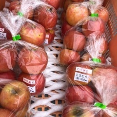りんご色々、処分価格で！