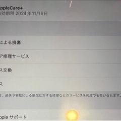 【美品★AppleCare加入端末】iPad Pro12.9インチ 128GB 第6世代 本体