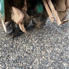 【耕運機】ガッツくん‼️